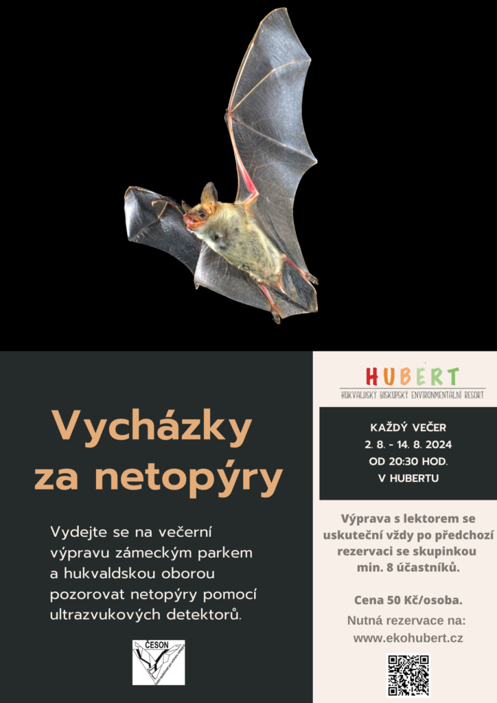 plakát netopýři